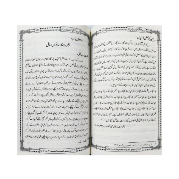Seerat e Mustafa Urdu - Image 3