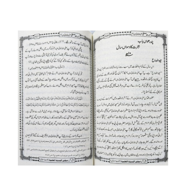Seerat e Mustafa Urdu - Image 4