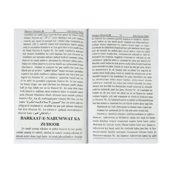Sirate Mustafa Roman English - Image 3