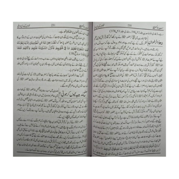 Sirat e Mustafa - Image 3