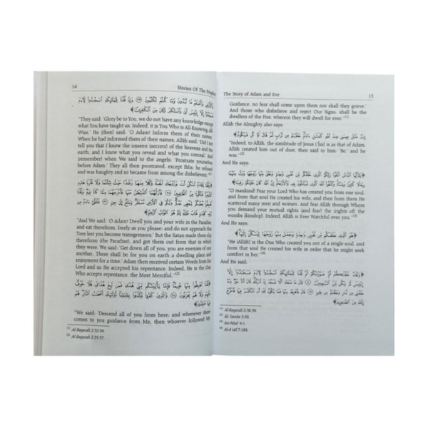 Stories of the Prophets (Peace be upon them) - Image 3